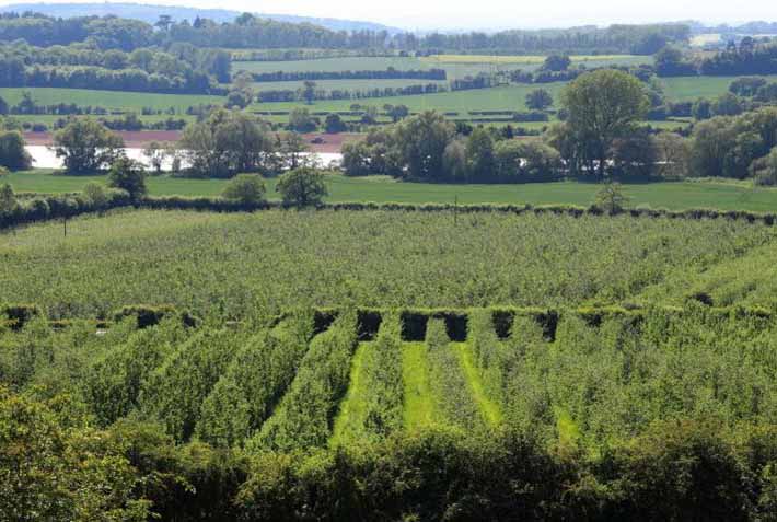 Planning for urea use and Farming Rules for Water in the year ahead